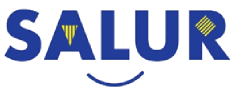Salur